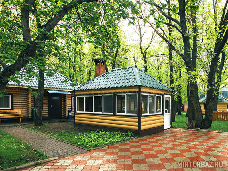 Дубрава, Ульяновская область: фото 2