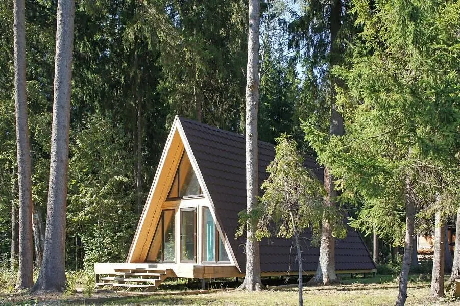 Глэмпинг Pine Forest (Шадрино), Шадрино, Московская область