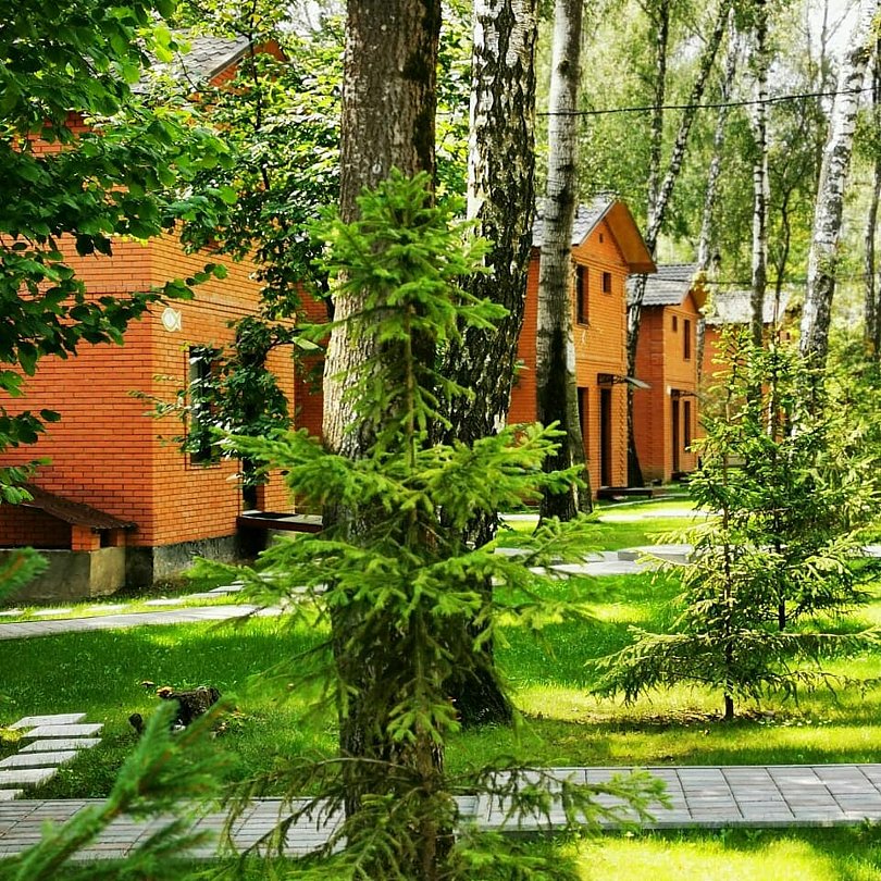 Золотая рыбка, Московская область: фото 2