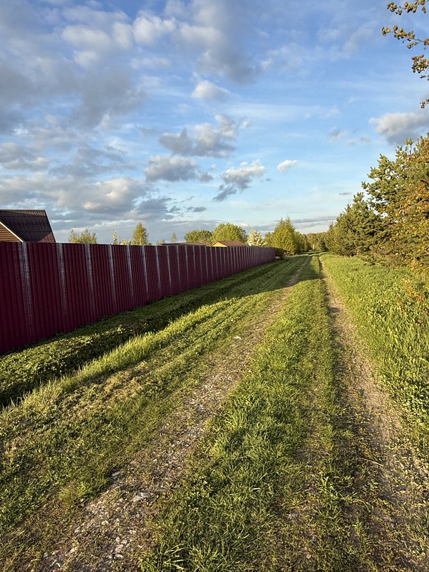 Petrushka.Просторы, Московская область: фото 4