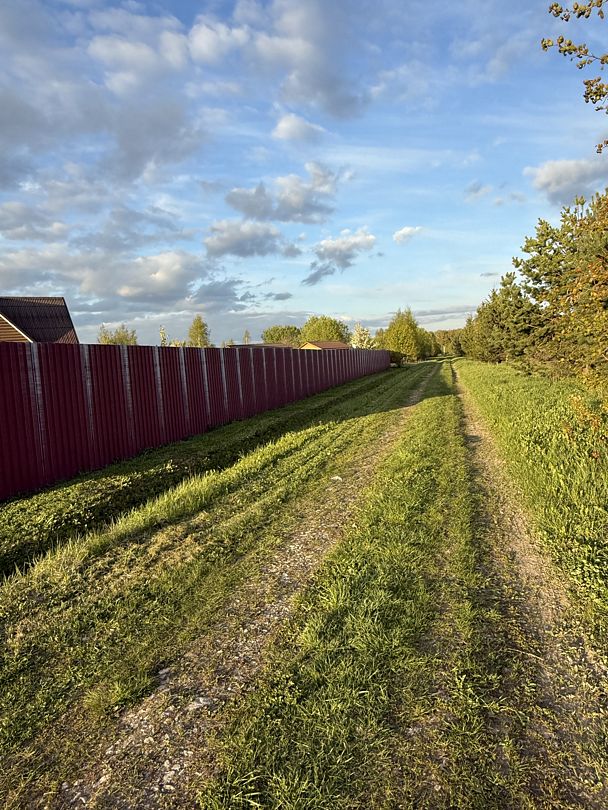 Petrushka.Просторы, Московская область: фото 4