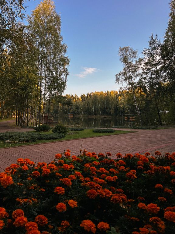 Бисерово, Московская область: фото 5