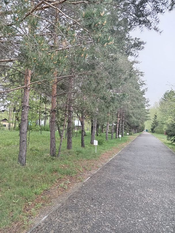 Фото 2 из отзыва о базе отдыха Монтажник