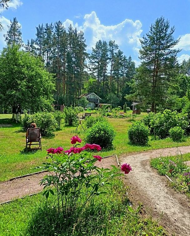 Правдинский причал, Ленинградская область: фото 4