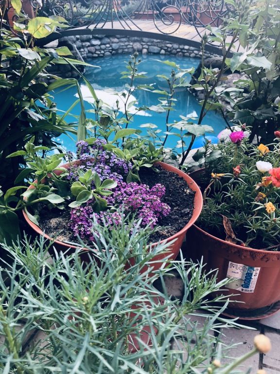 Сказка инн, Краснодарский край: фото 4