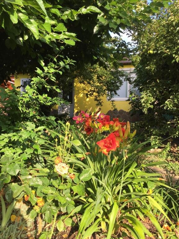 Дом в саду, Краснодарский край: фото 2