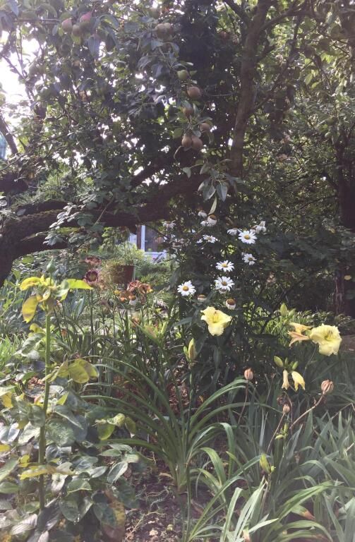 Дом в саду, Краснодарский край: фото 3