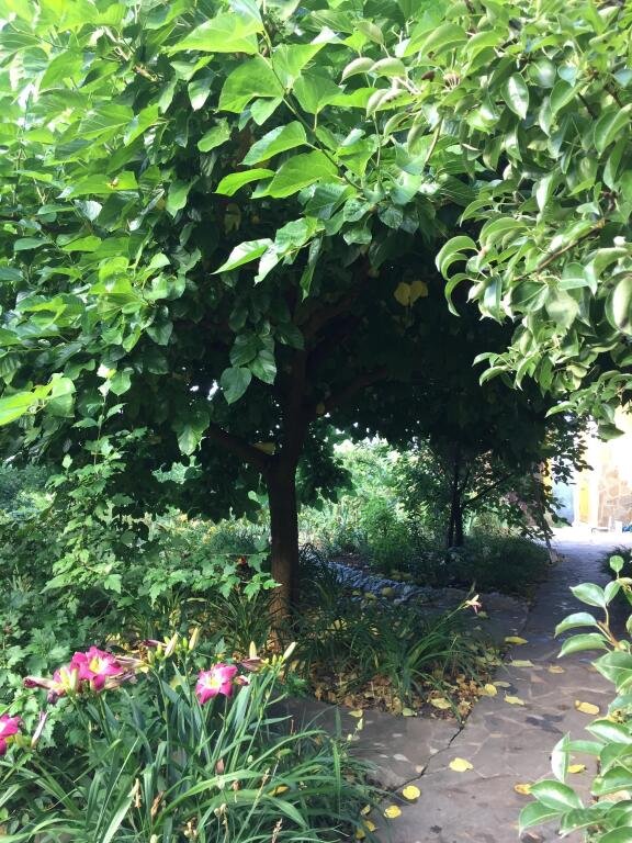 Дом в саду, Краснодарский край: фото 4