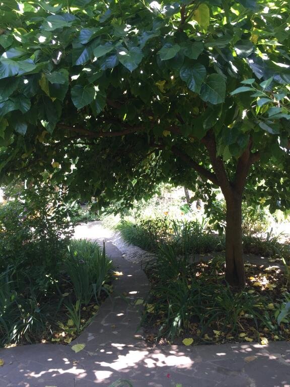 Дом в саду, Краснодарский край: фото 5