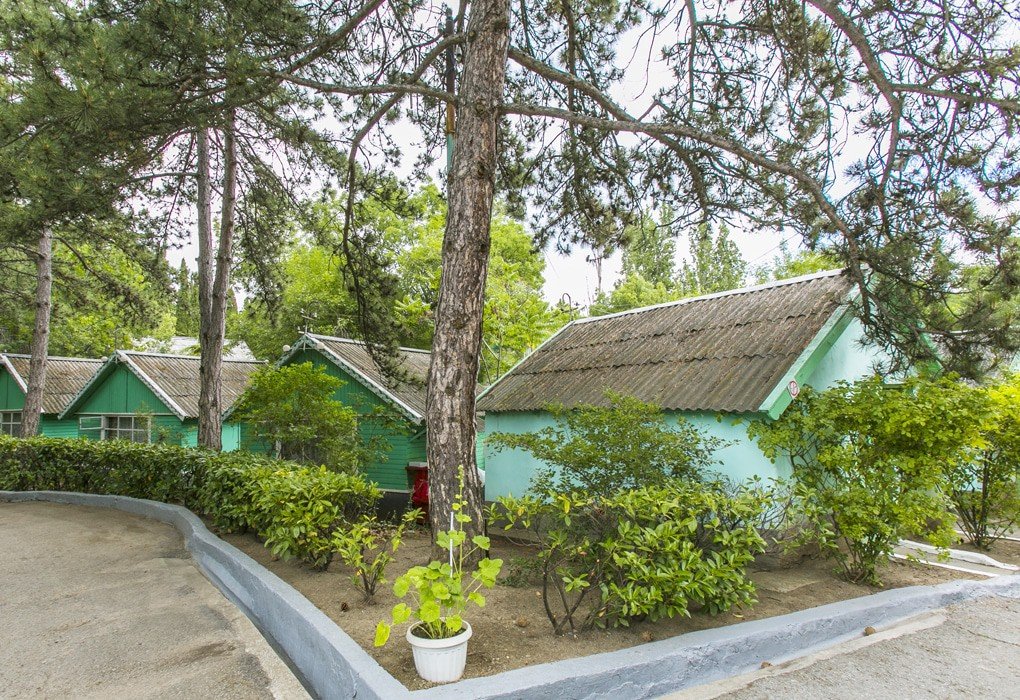 Мир, Крым: фото 4