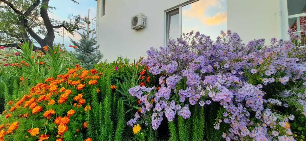 Гостевой дом Sun Hill, Крым: фото 2