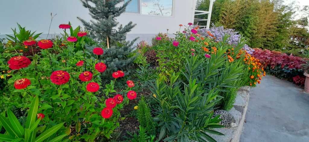 Гостевой дом Sun Hill, Крым: фото 3