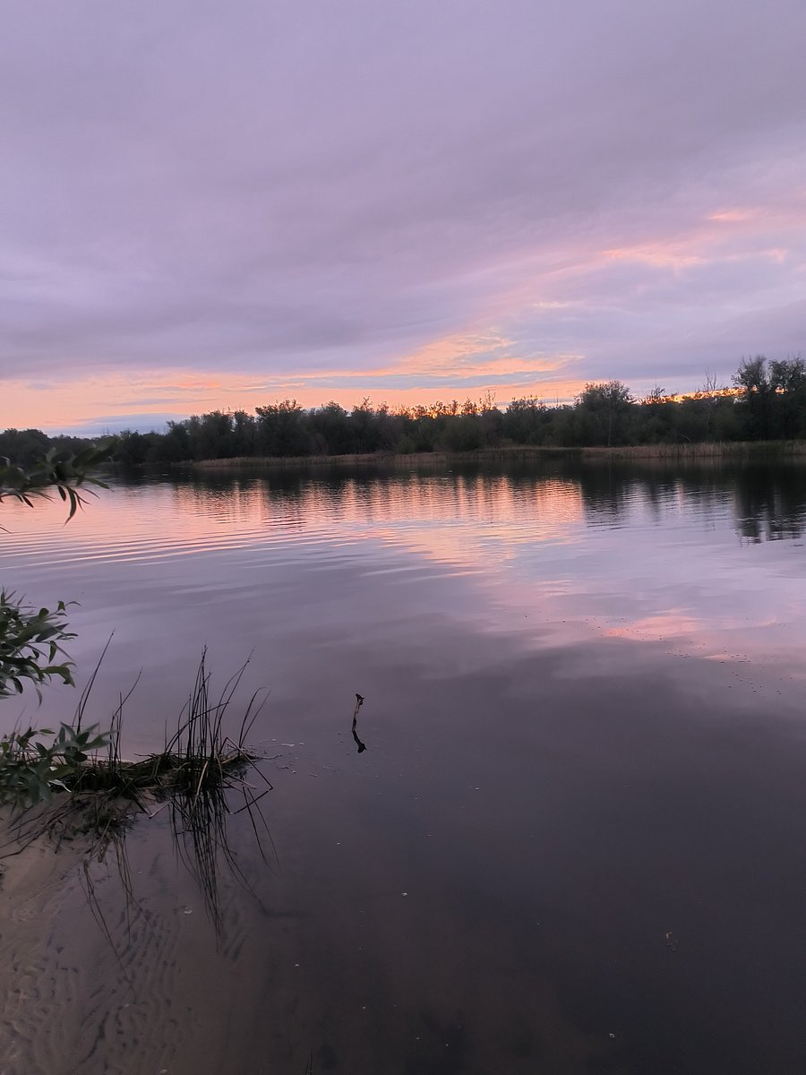 Фото 156 из отзыва о базе отдыха Донская Миля