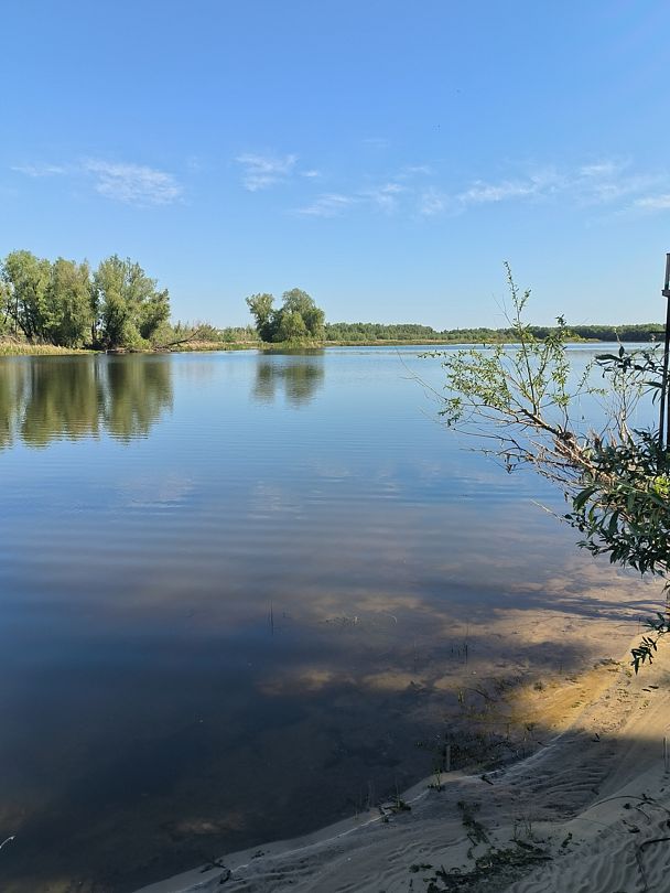 Фото 2 из отзыва о базе отдыха Донская Миля