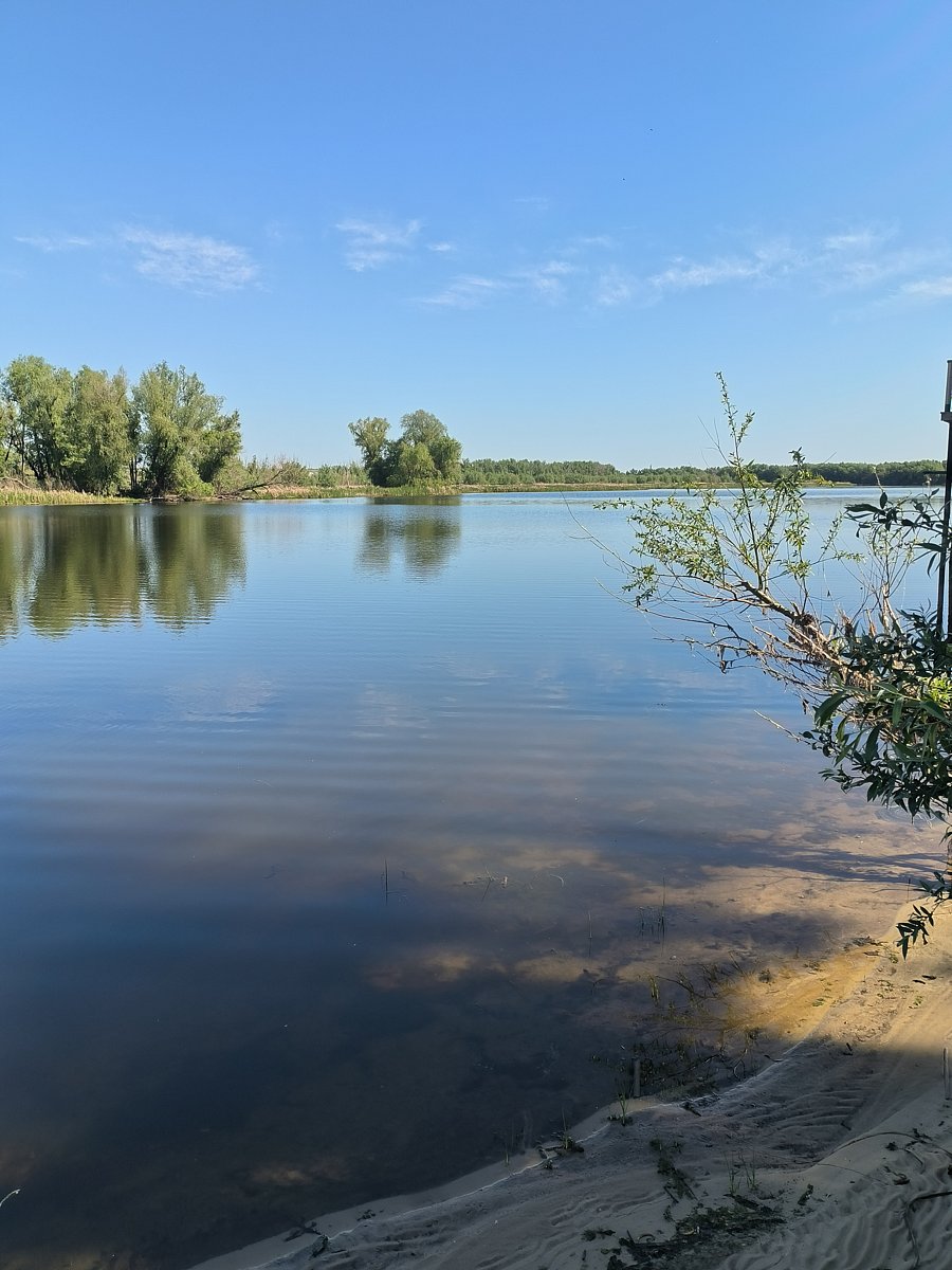Фото 157 из отзыва о базе отдыха Донская Миля