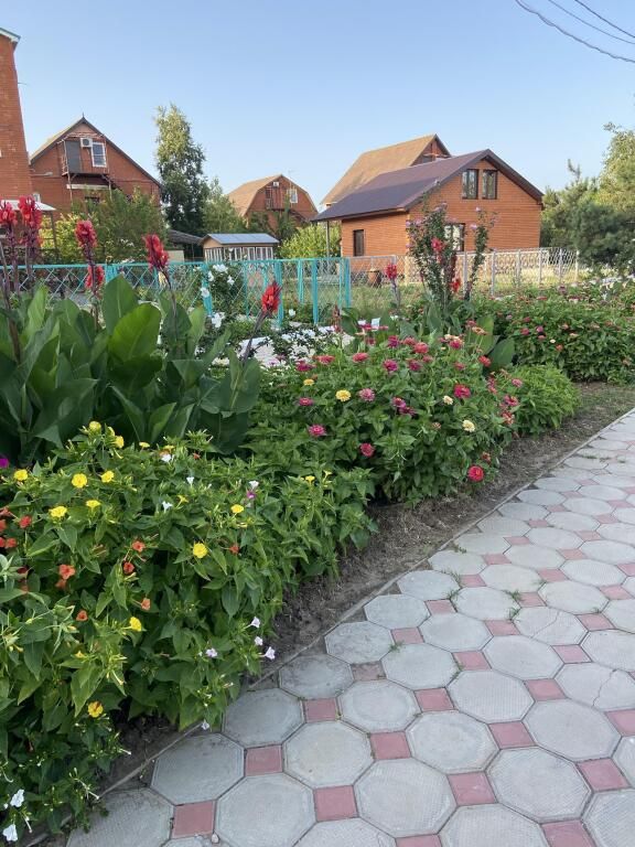 Берег, Краснодарский край: фото 2