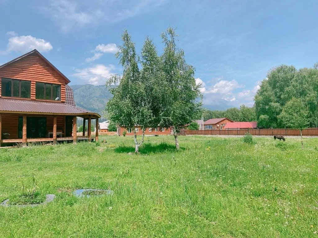 База отдыха Благодать, село Усть-Кокса, Горный Алтай (Республика Алтай)