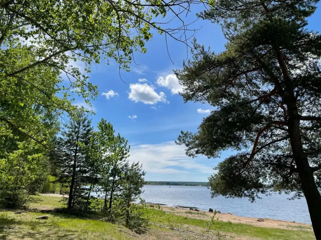 ELKI Glebychevo, Ленинградская область: фото 4