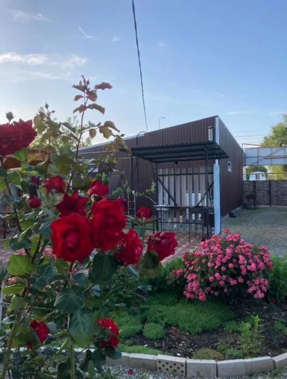 Море солнца, Краснодарский край: фото 3