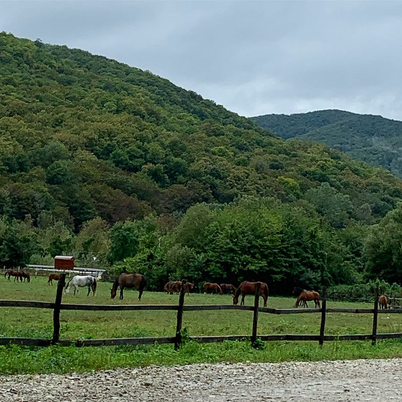 Butik Дача, Краснодарский край: фото 5