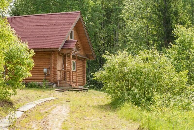 Золотая горка, Ленинградская область: фото 4