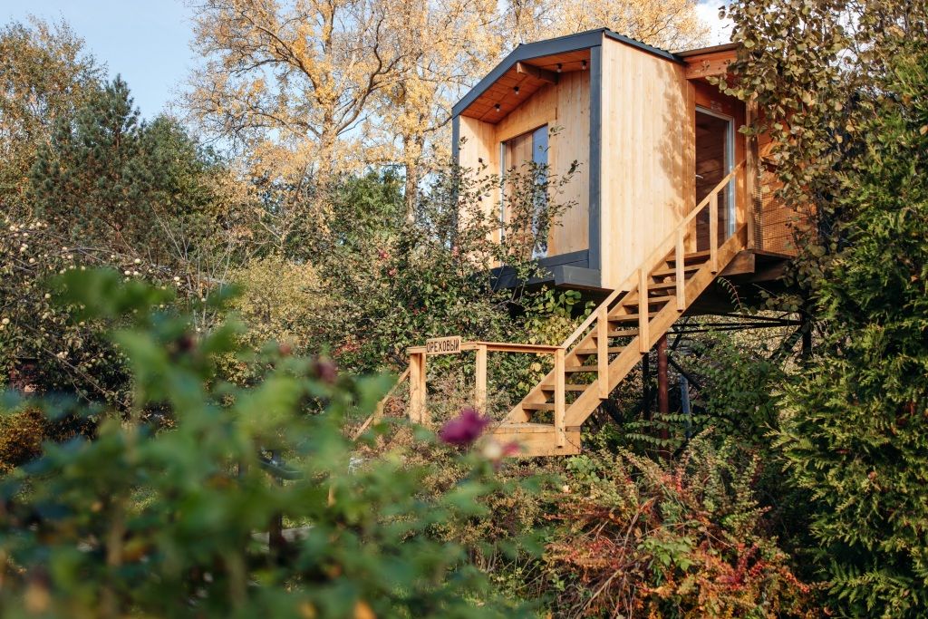 Дом на дереве, Ярославская область: фото 2