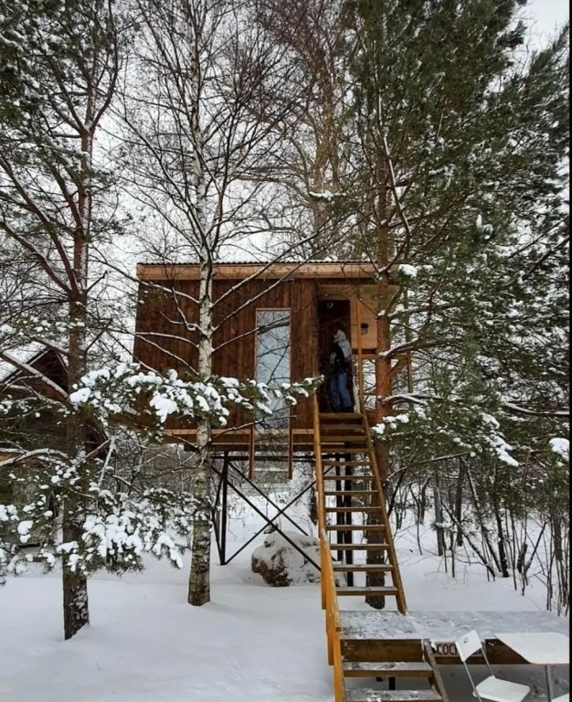 Дом на дереве, Ярославская область: фото 5