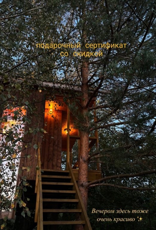 Дом на дереве, Ярославская область: фото 3