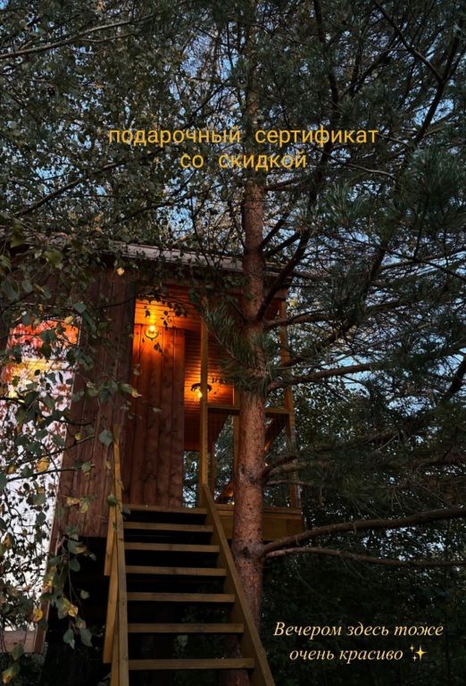 Дом на дереве, Ярославская область: фото 3