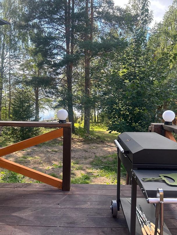 Волнушка, Республика Карелия: фото 4