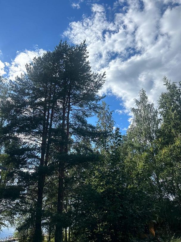 Волнушка, Республика Карелия: фото 5