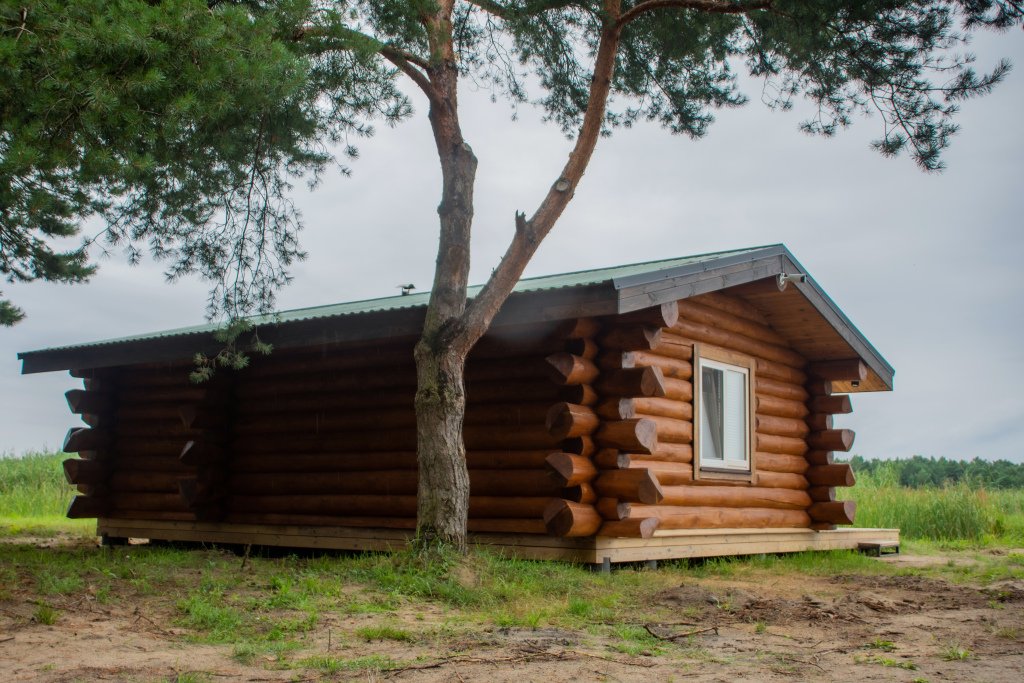 Рыболовное Хозяйство Дзик, Брестская область: фото 5