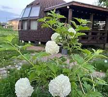 Семейный коттедж с красивым видом из окна, Гостевой дом Рай в шалаше в Коробицино, поселок Коробицыно