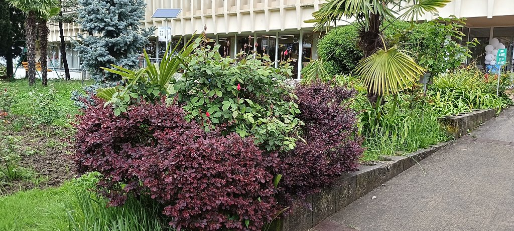 Фото из отзыва от 01.05.2025