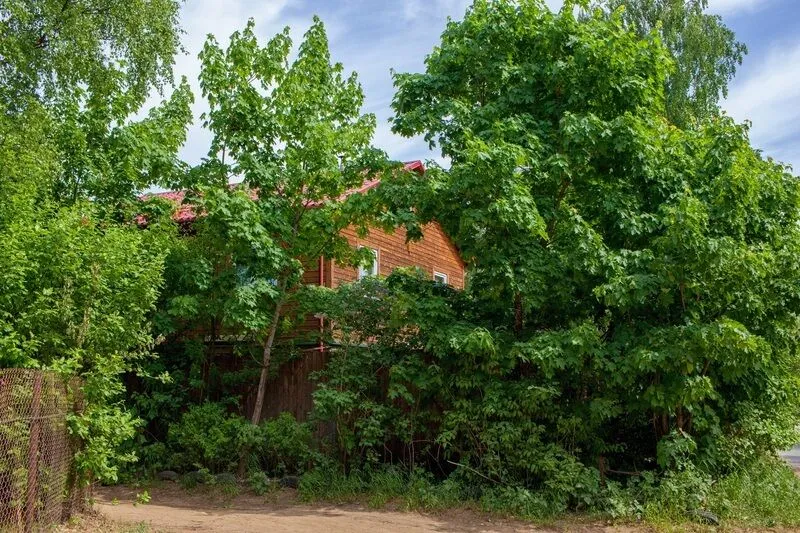 Коттедж в Орехово, Ленинградская область: фото 2