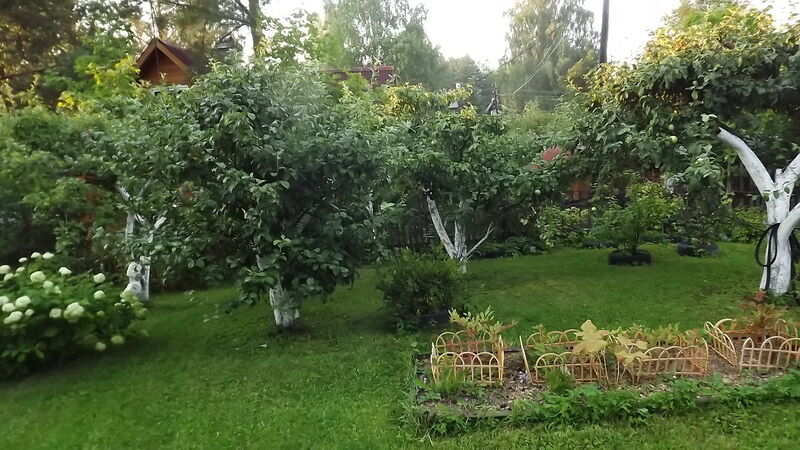 Коттедж в Орехово, Ленинградская область: фото 5