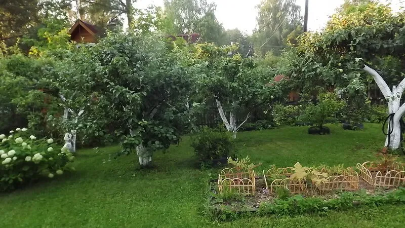 Коттедж в Орехово, Ленинградская область: фото 5