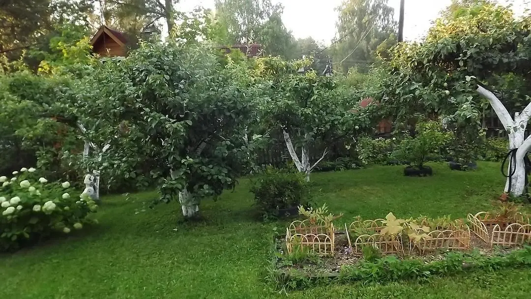Коттедж в Орехово, Ленинградская область: фото 5
