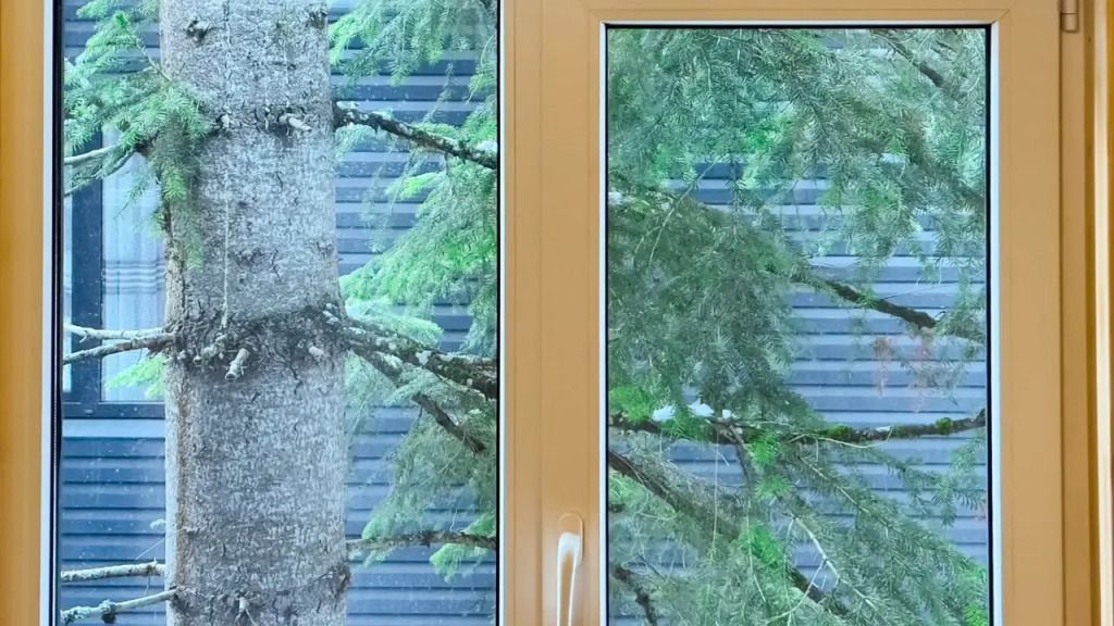 База отдыха Orman, Республика Карачаево-Черкесия: фото 2