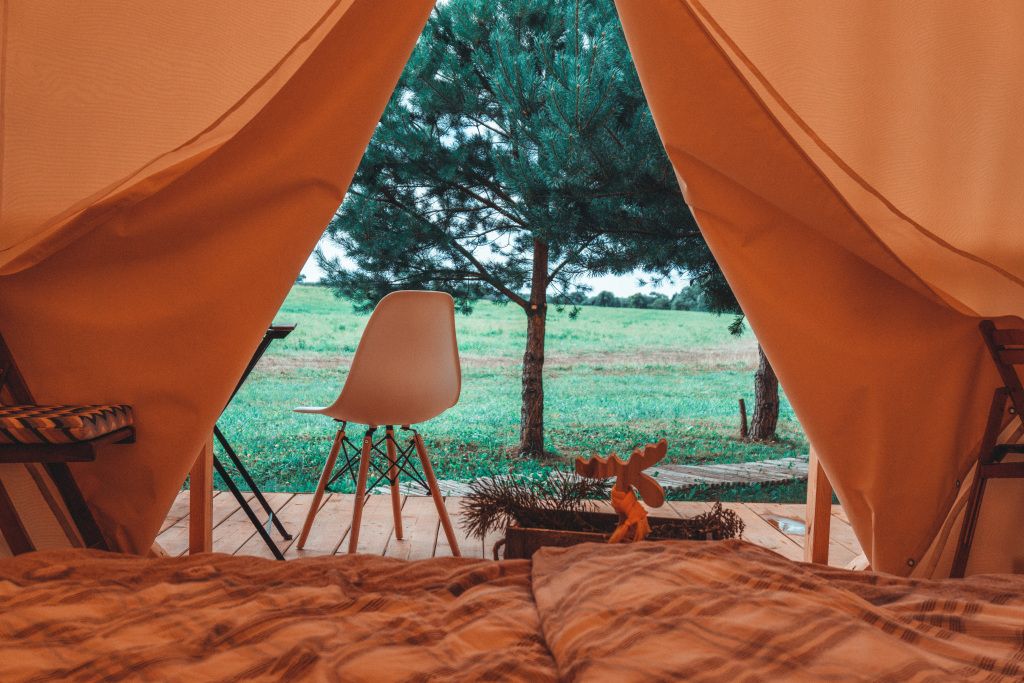 LAMA PARK, Калининградская область: фото 4