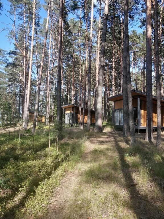 Место, Витебская область: фото 2