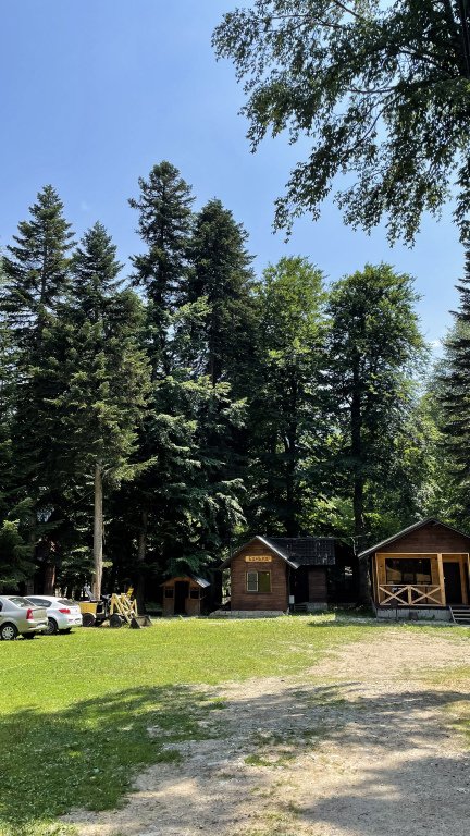 Forest Yard, Республика Карачаево-Черкесия: фото 4