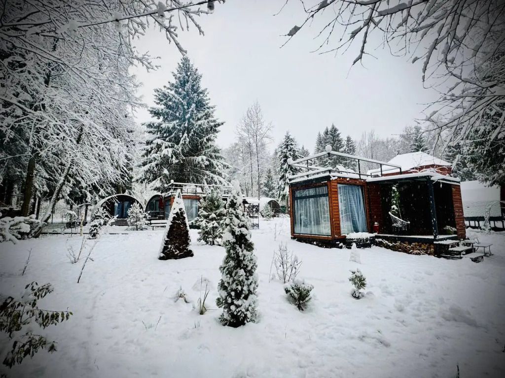 База отдыха Домики, Московская область: фото 2