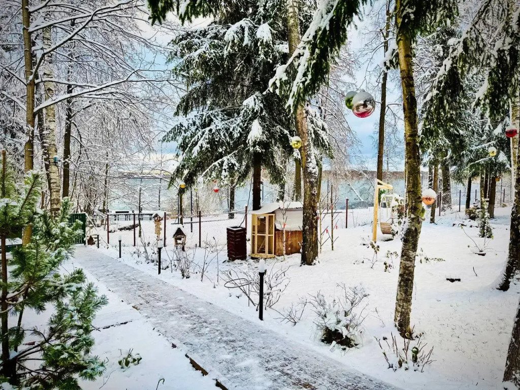 База отдыха Домики, Московская область: фото 3