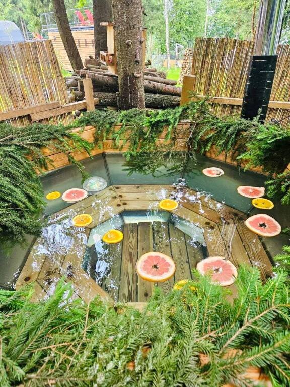 База отдыха Домики, Московская область: фото 5