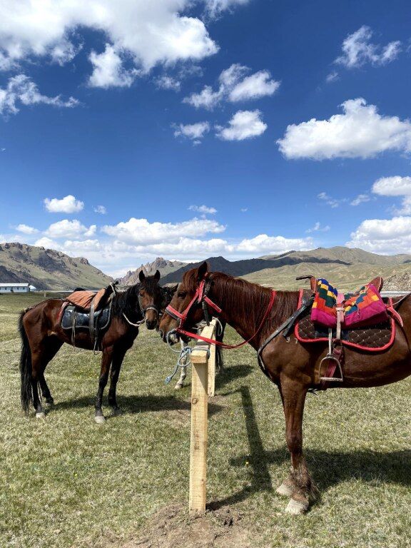 Yurt camp Kolsuu At Bashy, Нарынская область: фото 4