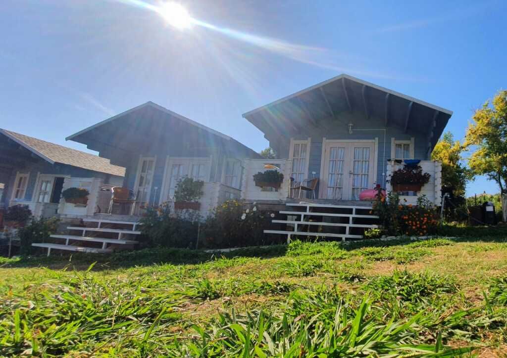 База отдыха Мандарин, Гудаутский район: фото 3