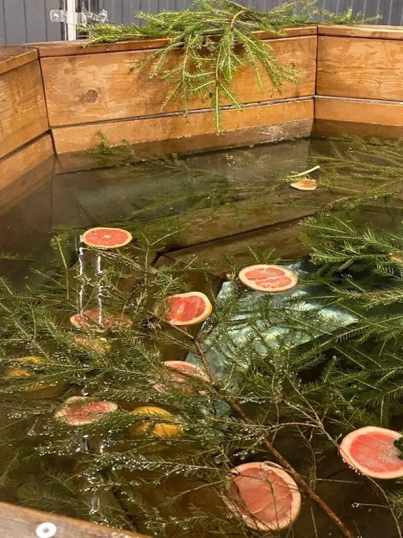 Глэмпинг Лесные огни, Московская область: фото 5