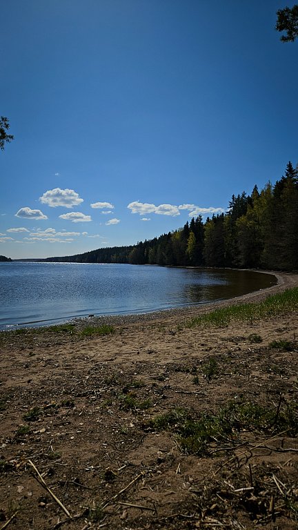 Фото из отзыва от 12.05.2025