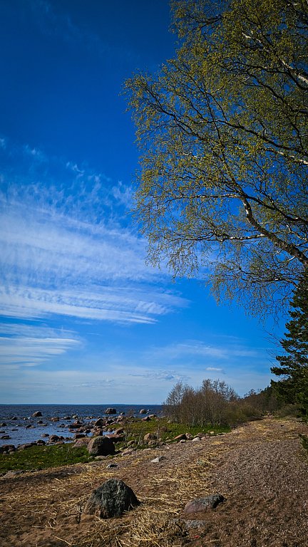 Фото из отзыва от 12.05.2025